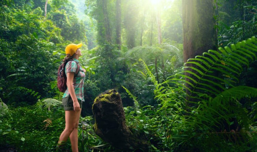 ¿Por Qué Magü Travel Tiene los Mejores Paquetes Todo Incluido?